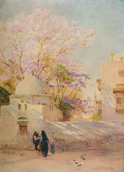 The Jacaranda, c1905, 1912