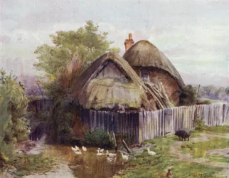 The New Forest: A Cottage at Bartley