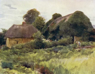 The New Forest: A Cottage at Sway
