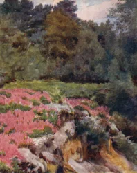 The New Forest: A Gravel Pit Head at Royden