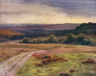 The New Forest: Boldrewood Walk, Puck Pitts, from the Fritham Road