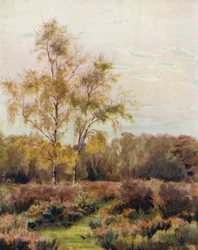 The New Forest: Rushpole Common, near Lyndhurst Race Course