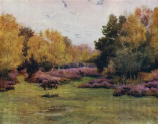 The New Forest: Rushpole Wood, Lyndhurst