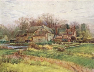 Wessex: Bindon Abbey Mill
