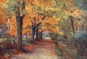 Wessex: Bockhampton Bank, near Dorchester