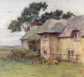 Wessex: Cottages at Stoke