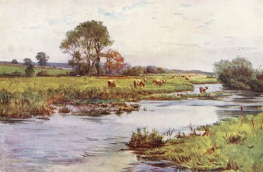 Wessex: The Frome above Dorchester, Casterbridge