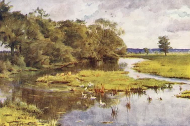 Wessex: The Frome from Bockhampton Bridge