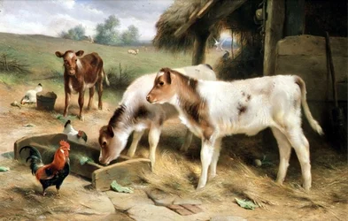 Three Calves and Poultry