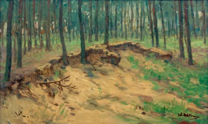 Forest Piece with Sand Pit