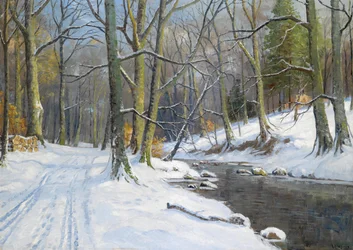Stream Landscape in Winter
