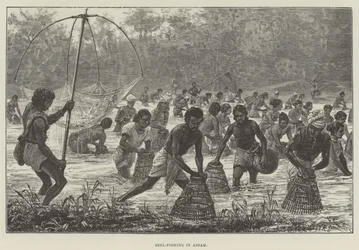 Beel-Fishing in Assam