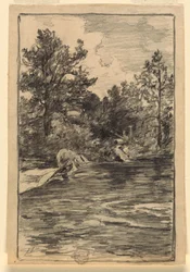 River and Trees
