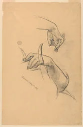 Studies of the Left Arm and Right Hand of a Woman