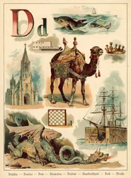 Letter D
