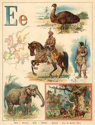 Letter E
