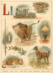 Letter L