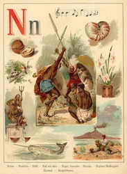 Letter N