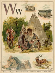 Letter W