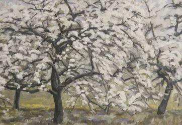 Blooming Fruit Trees