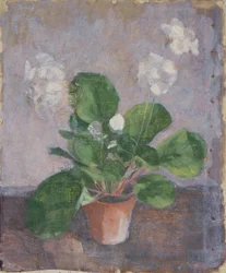 Still Life with Flower Pot