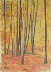 Forest Interior