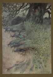 Plate 11: "Hundreds of peacocks of gorgeous plumes came to the embankments to eat the khai", from Folk-Tales of Bengal ... With 32 illustrations in colour by Warwick Goble. Edition de luxe.