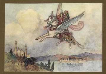 Plate 20: 
