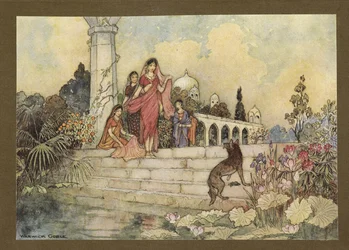 Plate 23: 