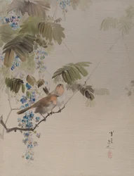 Birds and Flowers