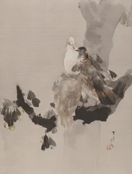 Pigeons in a Tree