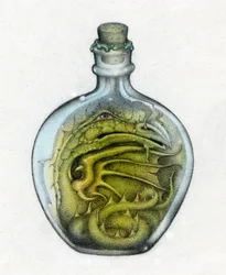 Bottled Dragon