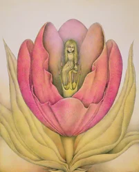 The Tulip Burst Open With a Pop