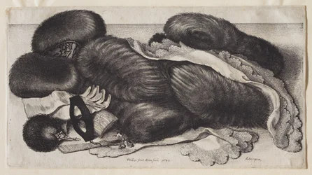 A Group of Muffs