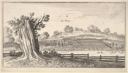 Albury with Tree-Stump in Foreground