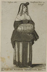 Antwerp Wife