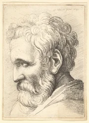 Bearded Old Man