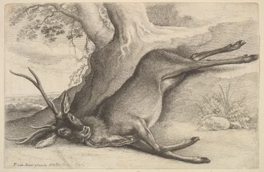 Dead Stag