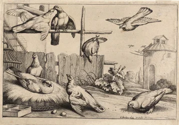 Eight doves (State 1)