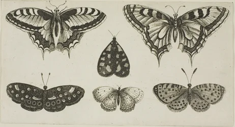 Five Butterflies and a Moth