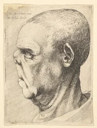 Grotesque old man with flattened nose in profile to left, 1625-77