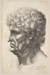 Head of a Man with Thick Curly Hair in Profile to the Left
