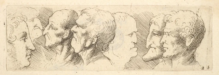 Head studies