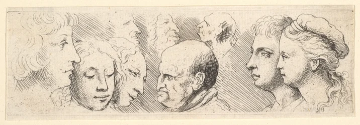 Head Studies