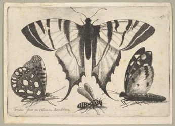 Three Butterflies and a Wasp