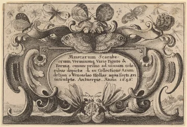 Title Page