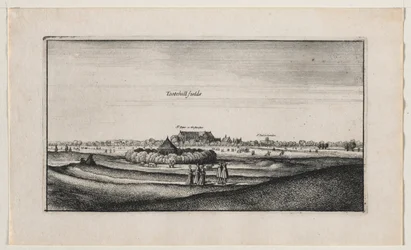 Tothill Fields
