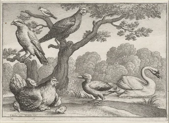 Swan, Hen with Chicks, and Other Birds (Various Birds)