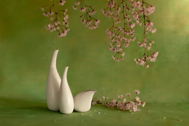 Cherry Blossom Vases