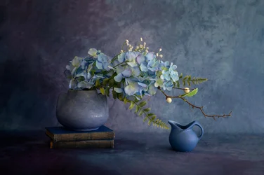 Elegant Blue Hydrangea Still Life